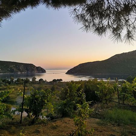 Porto Koufo Resort Bungalows Εξωτερικό φωτογραφία