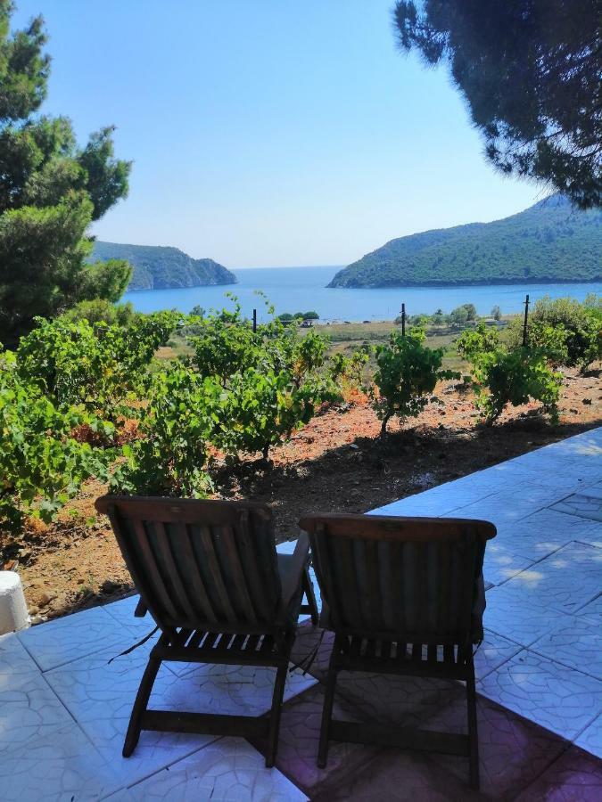 Porto Koufo Resort Bungalows Εξωτερικό φωτογραφία