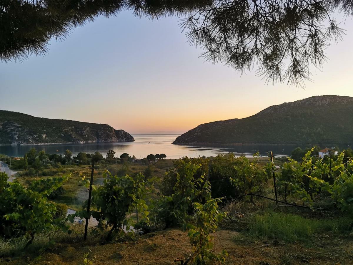 Porto Koufo Resort Bungalows Εξωτερικό φωτογραφία