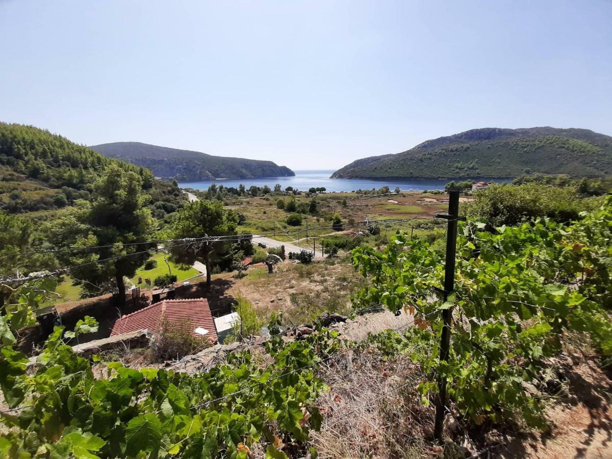 Porto Koufo Resort Bungalows Εξωτερικό φωτογραφία